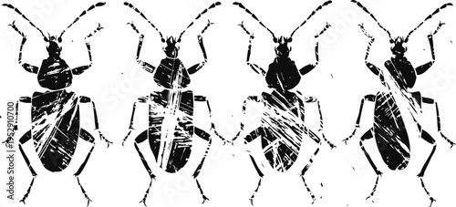 Insect silhouette illustration four black bug line art on white background entomology vector graphic design