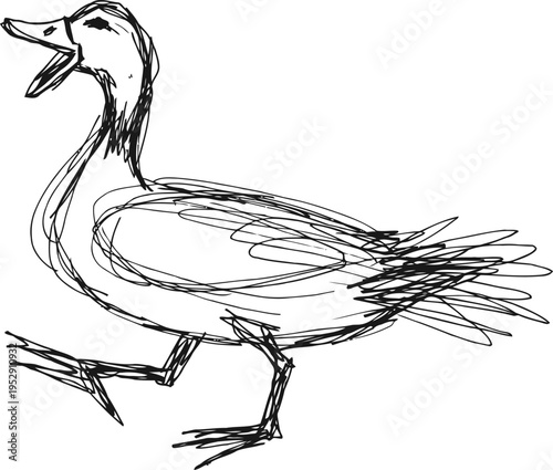 Sketch of a walking duck with open beak, abstract black and white line drawing of waterfowl bird