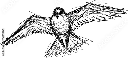 Flying bird sketch with outstretched wings in dynamic pose, hand drawn nature illustration