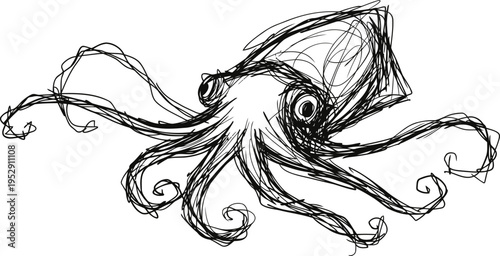 hand drawn squid illustration with swirling tentacles and detailed sketch