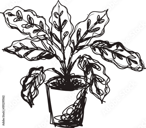 potted houseplant with broad leaves in sketch style, decorative indoor greenery illustration