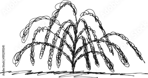 leafless bush branches silhouette bare twig cluster, nature winter season plant illustration