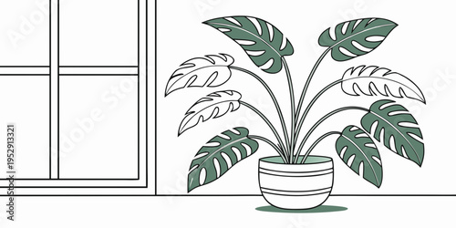 A large green plant in a pot next to a window with white curtains.