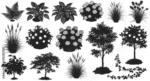 Set of Garden Plant Silhouettes: Trees, Shrubs, Flowers, and Grasses