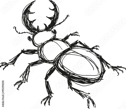 hand drawn stag beetle sketch with detailed antennae and segmented legs illustration