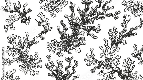 intricate coral reef black and white pattern with detailed branch structures and organic marine textures