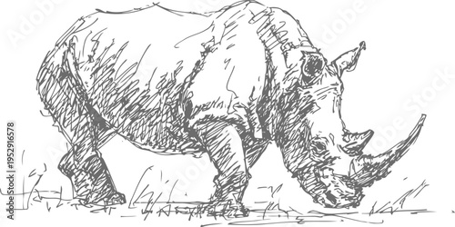 hand drawn rhinoceros sketch grazing on grass, wildlife illustration in black and white