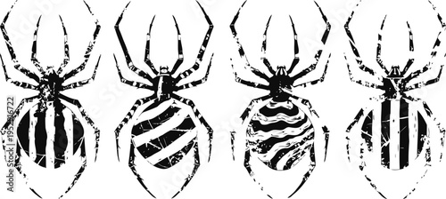 Illustrated four black and white spiders with unique striped and wavy abdomen patterns, vintage insect designs