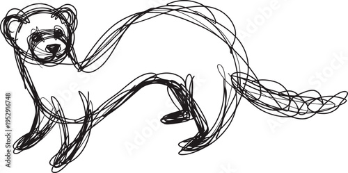 abstract ferret sketch with fluid continuous lines, minimalistic animal drawing on white background
