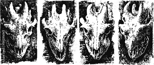 Detailed animal skulls artwork with grunge texture, abstract wildlife bones illustration in black and white