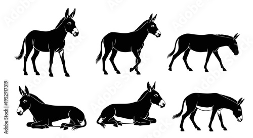 Set of Donkey Silhouettes: Standing, Walking, and Resting Poses