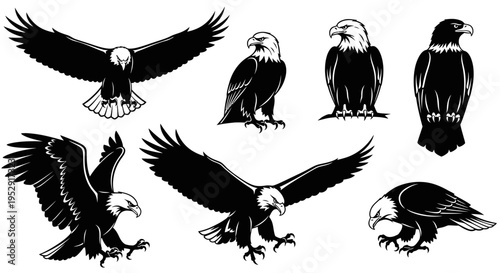 Set of Eagle Silhouettes: Majestic Birds of Prey in Various Poses