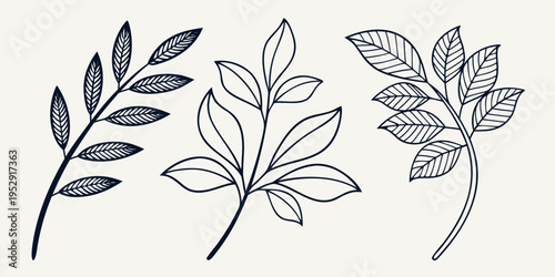 Three distinct types of leaves showcasing unique shapes and vein patterns in black and white