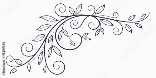 Elegant black and white floral design with intricate swirls and leaves