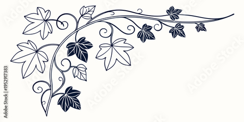 An elegant illustration of a vine with leaves and tendrils in a decorative design