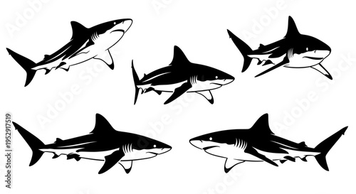 Set of Five Shark Silhouettes, Vector Illustration, Black and White, Marine Life