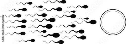 Sperm Cells Approaching Egg Vector Illustration
