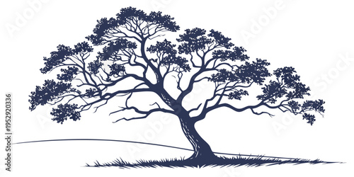 A majestic tree standing tall with a thick trunk and sprawling branches