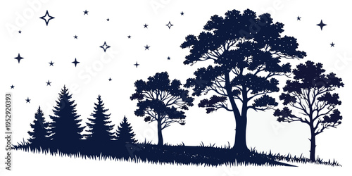 Silhouette of trees and stars under a clear night sky