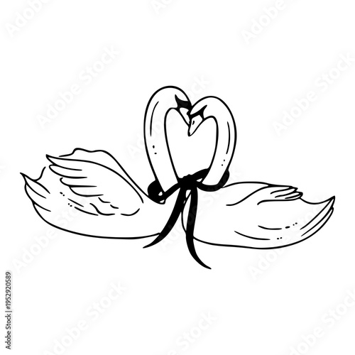hand drawn aesthetic swans illustration for greeting cards and tattoo