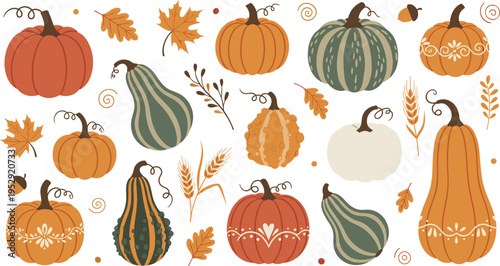 Autumn Pumpkin and Gourd Collection with Fall Leaves, Wheat, Acorns, and Decorative Harvest Elements for Thanksgiving Seasonal Decor and Rustic Vector Illustration