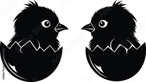 Two black chicks hatching from eggs facing each other