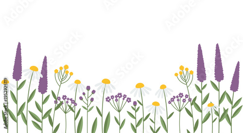 Flat Design Wildflowers Border Purple Flowers Daisies Yellow Centers