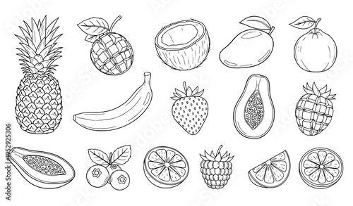 Fruits and berries outline coloring page vector set with tropical organic food illustrations black and white