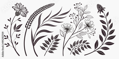 A detailed illustration of various plants and flowers in a symmetrical arrangement