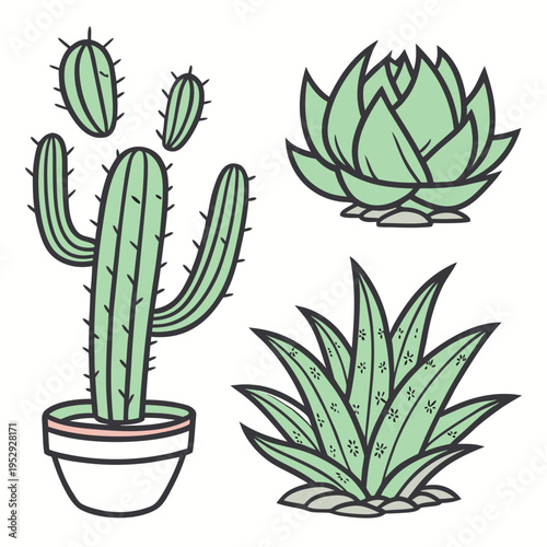 Stylized green cactus and succulent plants botanical set vector illustration for desert flora home decor and garden themes with potted plant