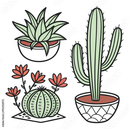 Potted cactus and succulent plants collection illustration with desert flowers with potted plant