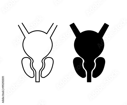Prostate icon with editable stroke. Black solid icons