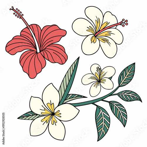Hand-drawn tropical hibiscus and plumeria flowers vector illustration set, exotic bloom botanical doodle art element for design, tropical leaves