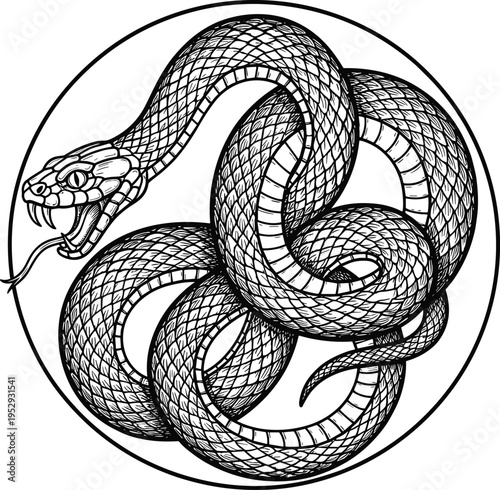 vintage snake engraving illustration, coiled serpent tattoo design, detailed hand drawn reptile, black and white, mystical symbol, isolated background, vector