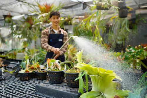 Φωτογραφία A gardener with a watering hose and a sprayer water working in greenhouse and watering fern