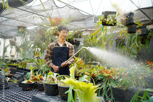 Картината върху платно A gardener with a watering hose and a sprayer water working in greenhouse and watering fern