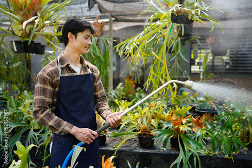 Schilderij op canvas A gardener with a watering hose and a sprayer water working in greenhouse and watering fern