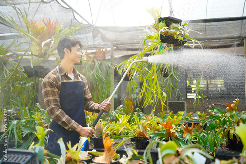 Εκτύπωση καμβά A gardener with a watering hose and a sprayer water working in greenhouse and watering fern
