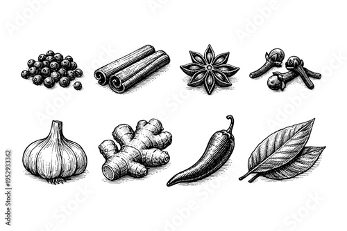 Collection of hand-drawn spices and aromatics in a vintage engraving style