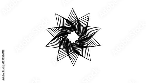 A flower starburst vector illustration with geometric lines and shapes