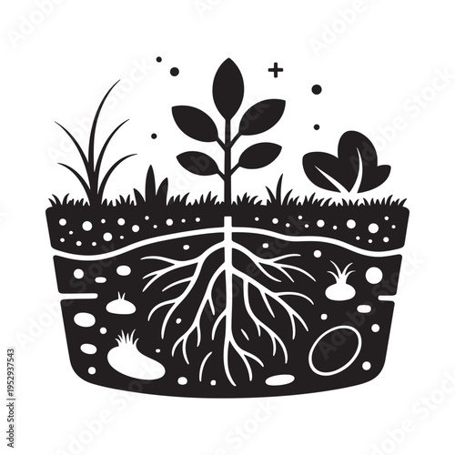 A black and white illustration of a plant with visible roots in soil