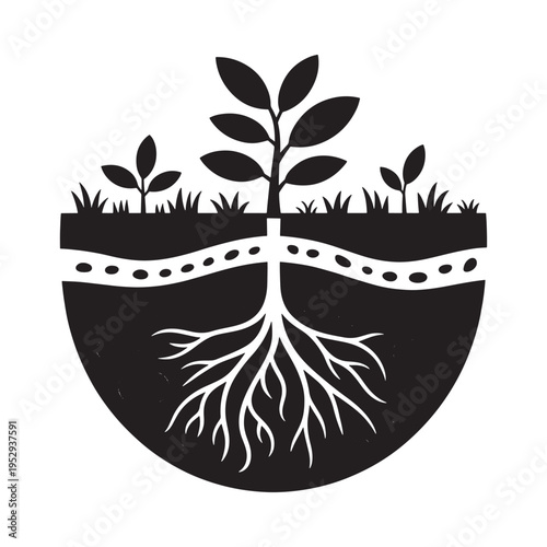 Black and white illustration of a plant with visible roots and soil