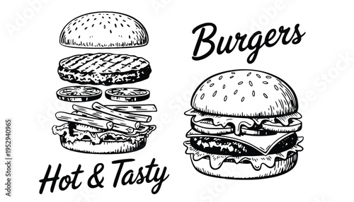 A burger vector illustration with hot and tasty text