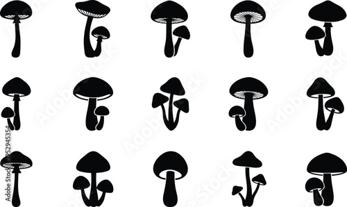 Mushroom silhouettes collection vector set, different fungi shapes isolated, black forest toadstool icons for nature, food and botanical design use