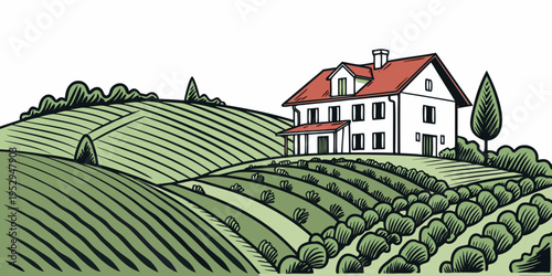 Colorful of a house on a green hillside with vineyards