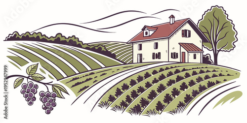 House on a hill with vineyards landscape vintage