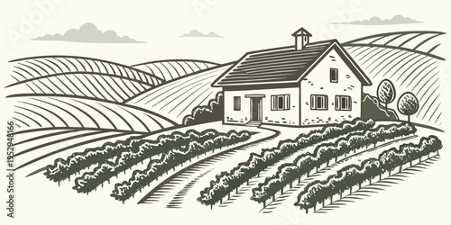 Vintage of house in vineyard with rolling hills countryside farm