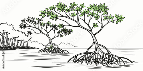 Black and white of mangrove trees water line nature