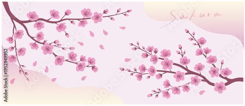 グラデーション桜フレーム素材｜春の装飾ベクター