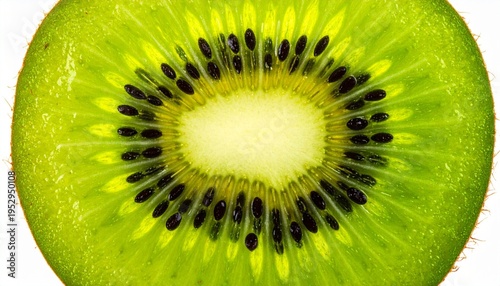 kiwi fruit on white background
